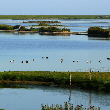 Haus-Halligblick-Ferienwohnung-Hamburger-Hallig Dagebull Bagian luar foto