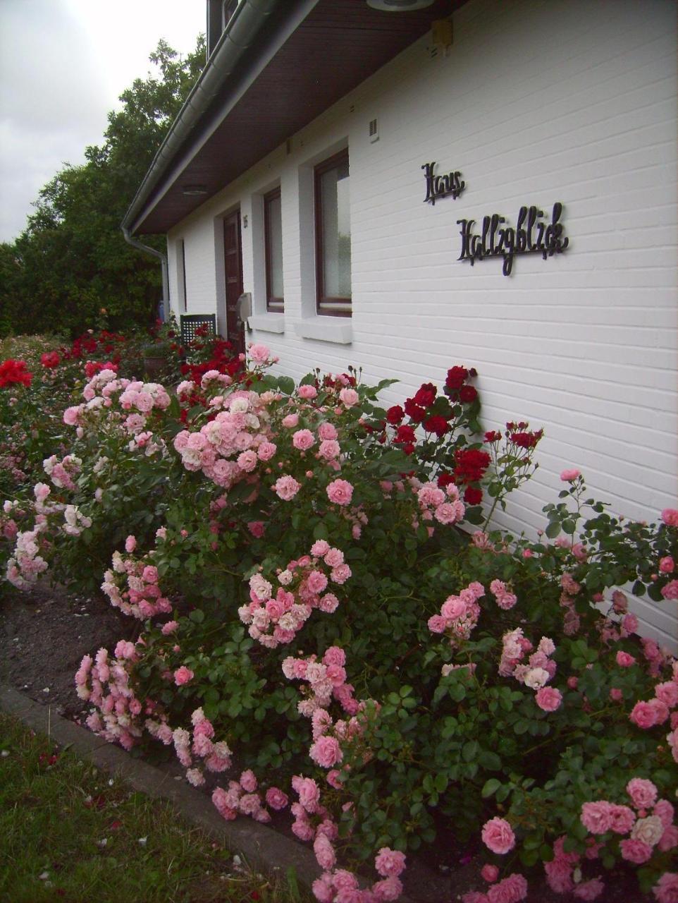 Haus-Halligblick-Ferienwohnung-Hamburger-Hallig Dagebull Bagian luar foto