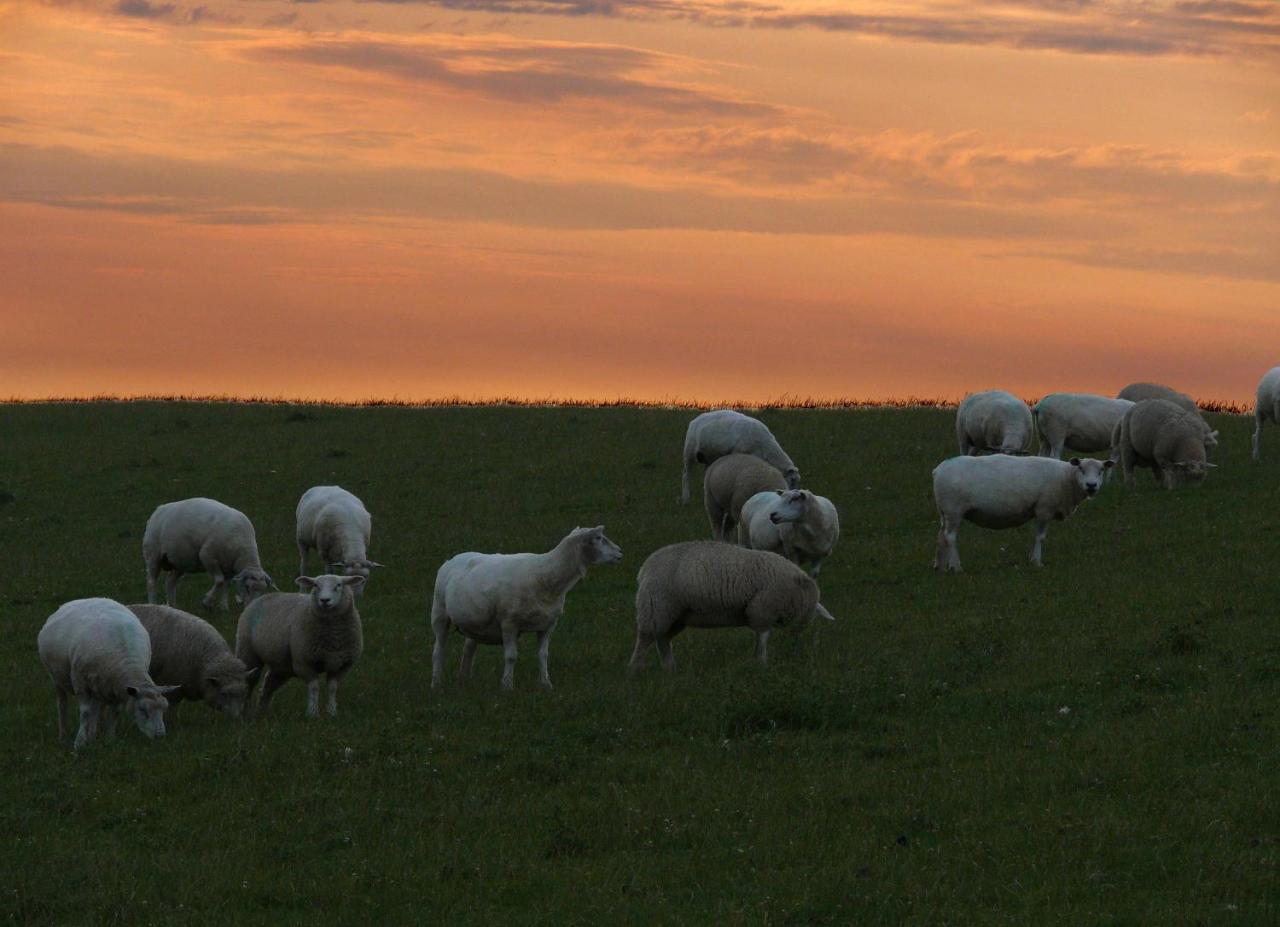 Haus-Halligblick-Ferienwohnung-Hamburger-Hallig Dagebull Bagian luar foto