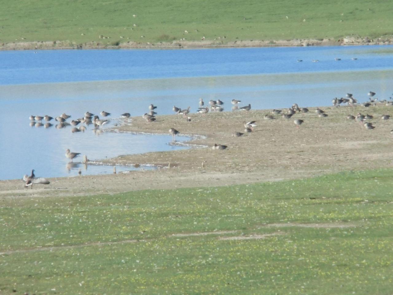 Haus-Halligblick-Ferienwohnung-Hamburger-Hallig Dagebull Bagian luar foto