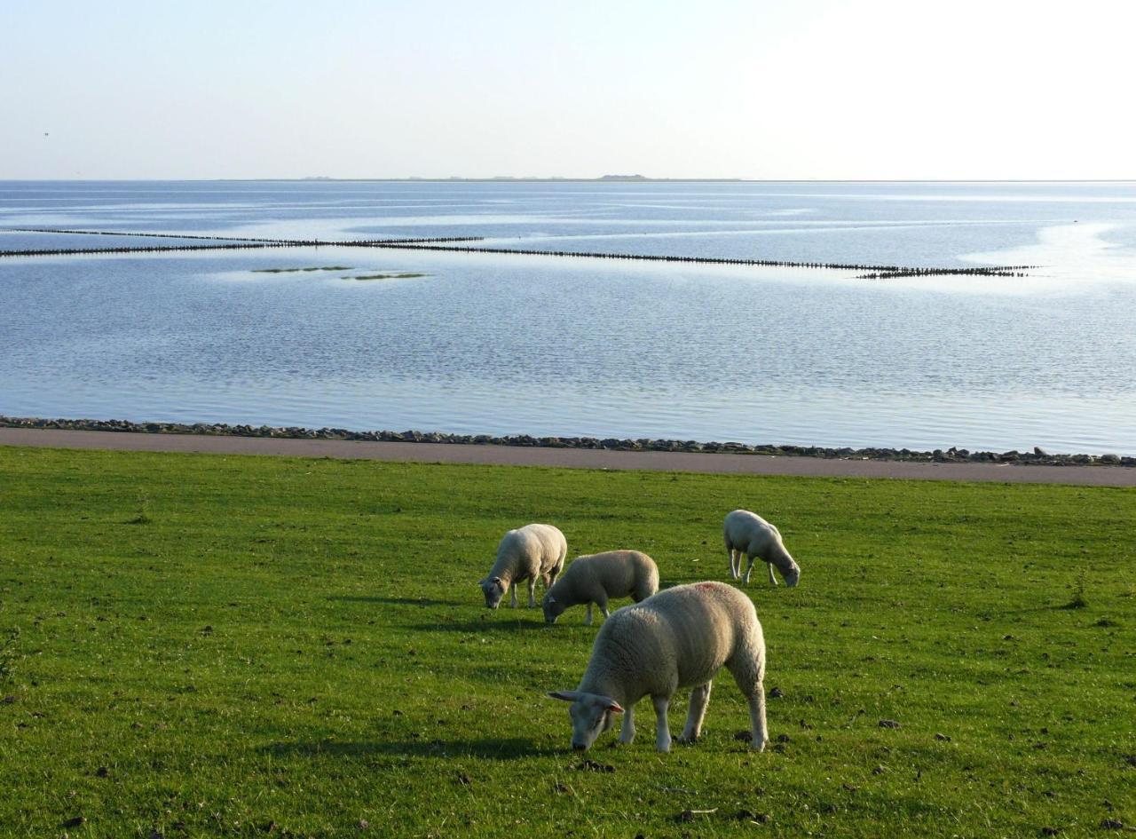 Haus-Halligblick-Ferienwohnung-Hamburger-Hallig Dagebull Bagian luar foto