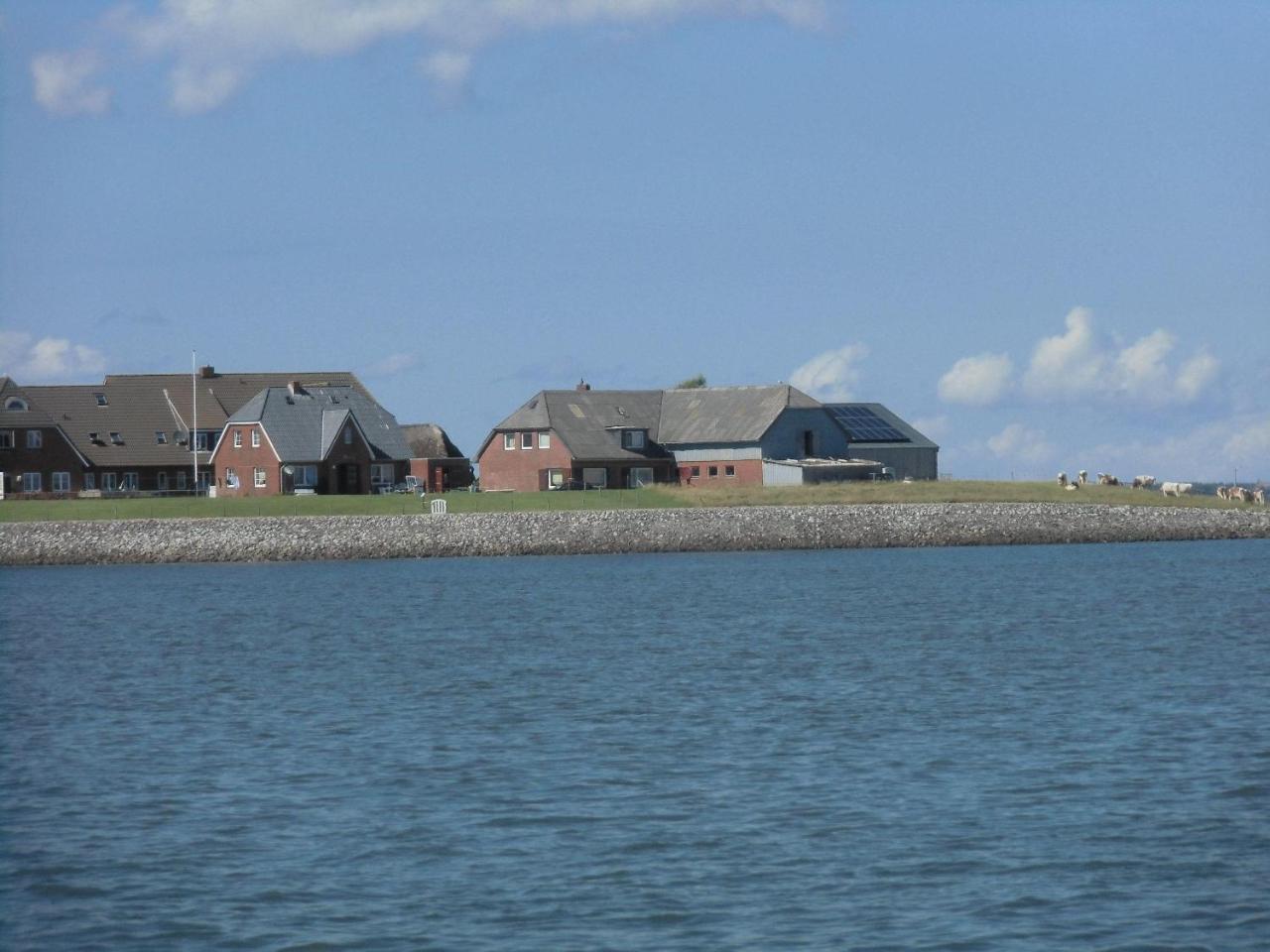 Haus-Halligblick-Ferienwohnung-Hamburger-Hallig Dagebull Bagian luar foto