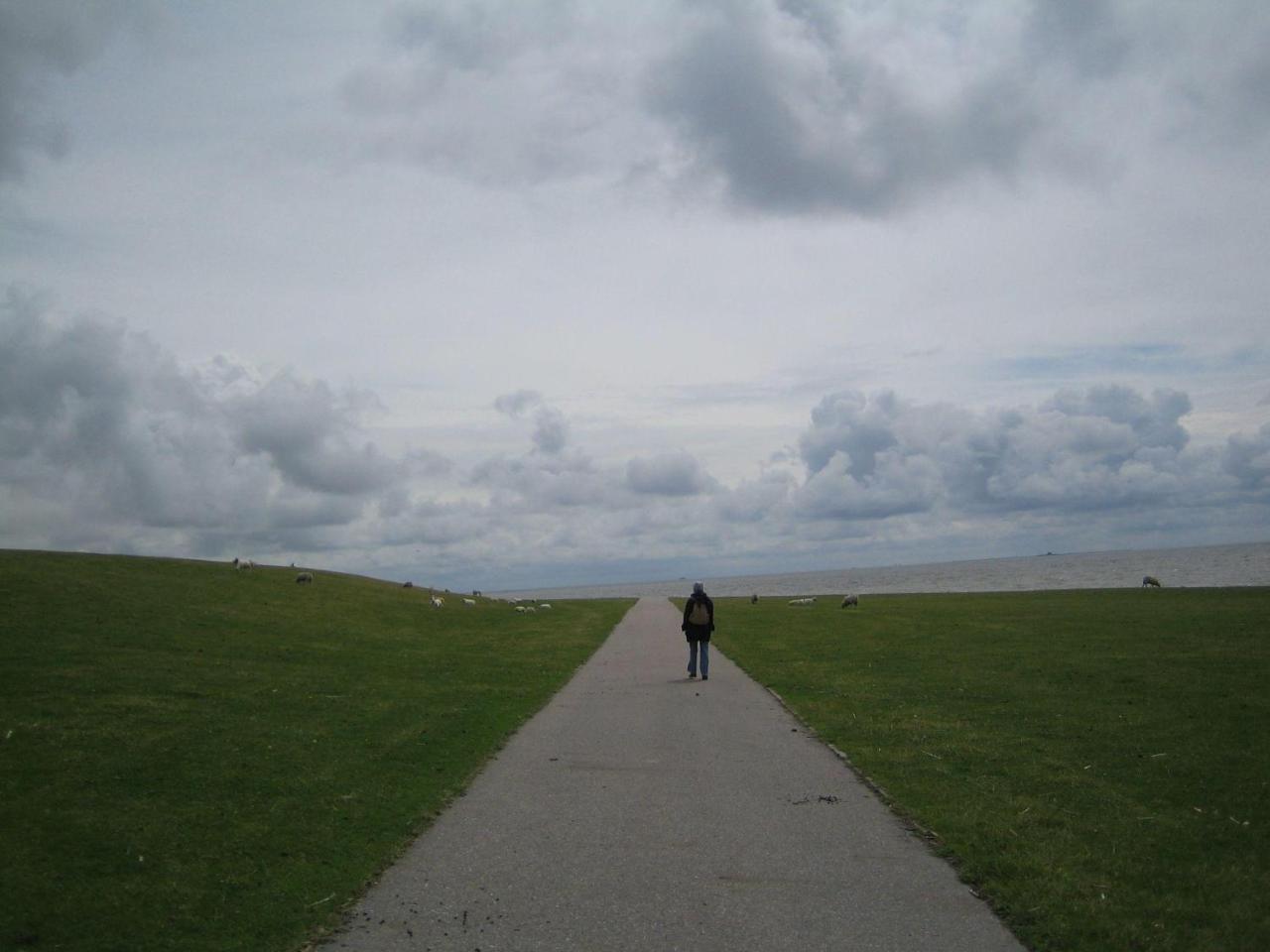 Haus-Halligblick-Ferienwohnung-Hamburger-Hallig Dagebull Bagian luar foto