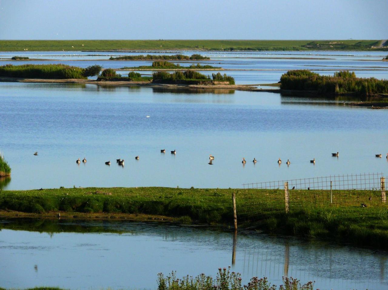 Haus-Halligblick-Ferienwohnung-Hamburger-Hallig Dagebull Bagian luar foto